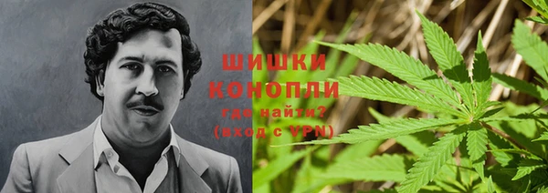 ПСИЛОЦИБИНОВЫЕ ГРИБЫ Балахна