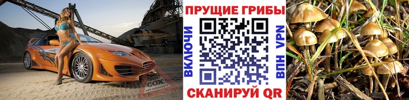 Галлюциногенные грибы MAGIC MUSHROOMS darknet Telegram Горно-Алтайск